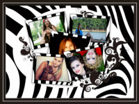 Zebra Fun Black & White photo collage design