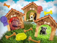 Dogs And Friends Fun photo collage design