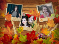 It's Autumn Nature photo collage design