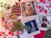 Blossom in autumn Nature photo collage design