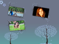 Nocturnal Trees Nature photo collage design