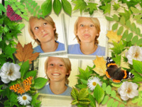 Butterfly Forest Natureza photo collage design